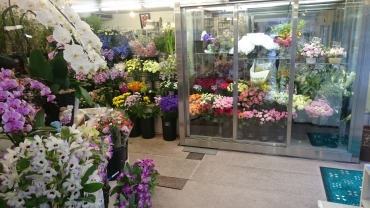 「山崎花店」　（石川県河北郡津幡町）の花屋店舗写真3