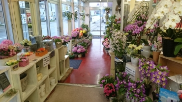 「山崎花店」　（石川県河北郡津幡町）の花屋店舗写真4